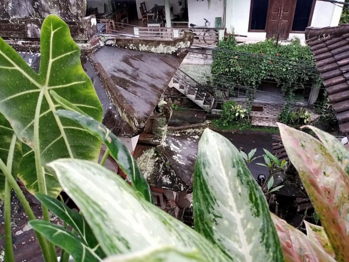 Wah Teja Homestay ウブド エクステリア 写真